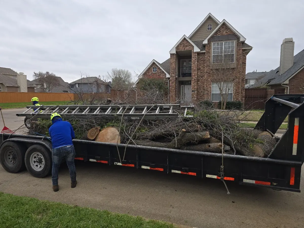 Expert Lot Clearing with proper safety equipment in Hecla